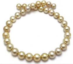 Golden South Sea Pearl Necklace