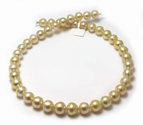 South Sea golden pearl necklace