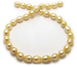 Golden South Sea Pearl Necklace