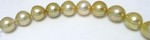 Circle Golden South Sea Pearl Necklace
