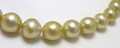 Circle Golden South Sea Pearl Necklace