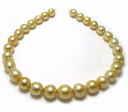 Golden South Sea Pearl Necklace