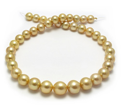 Gold Pearl Necklace