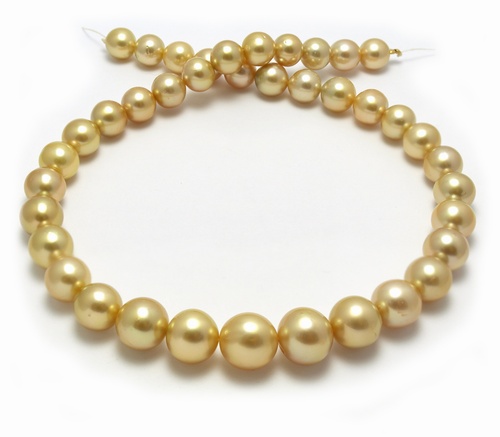 near round golden South pearl necklace