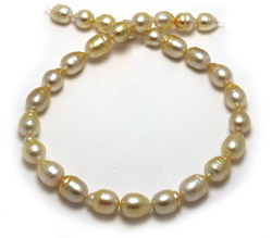 Light Gold South Sea Pearl Necklace