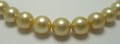 Rich Golden South Sea Pearl Necklace