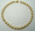 Rich Golden South Sea Pearl Necklace