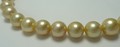 Rich Golden South Sea Pearl Necklace