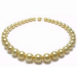 Golden South Sea Pearl Necklace