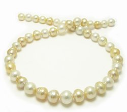 Golden South Sea Pearl Necklace