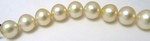 Champagne South Sea Pearl Necklace