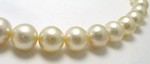 Wholesale South Sea Pearl Necklace