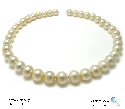 Creamy South Sea Pearl Necklace
