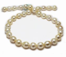 Creamy South Sea Pearl Necklace