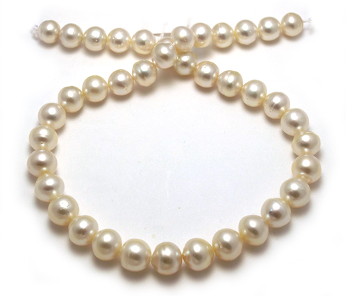 South Sea Pearl Strand