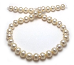 Creamy South Sea Pearl Necklace