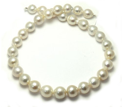 Ivory South Sea Pearl Necklace
