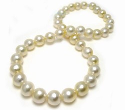 Creamy South Sea Pearl Necklace