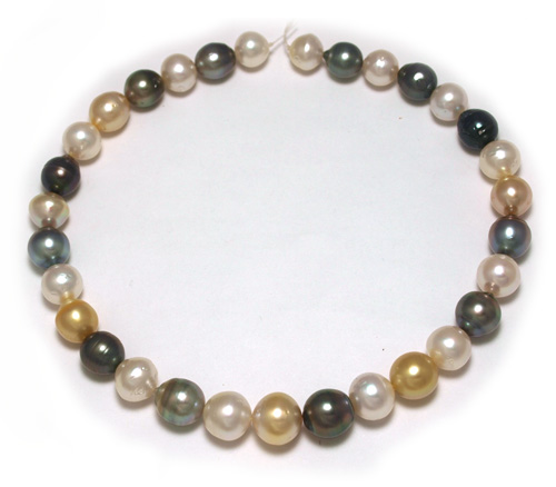 Multi Color South Sea Pearl necklace with Black Pearls