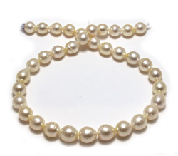 Sale South Sea Pearl Necklace