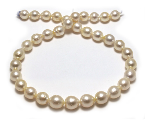 Sale South Sea Pearl necklace