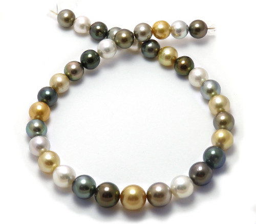 Multi Color South Sea Pearl necklace with Black Pearls