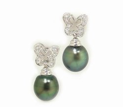 Tahitian Pearl Earrings