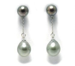 Tahitian Pearl Earrings