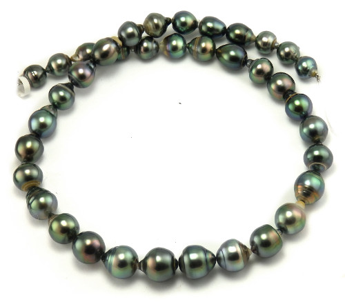 Peacock Tahitian Pearl Necklace