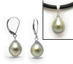 Golden South Sea Pearl Earrings