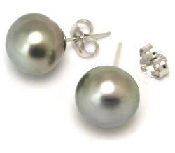 Tahitian Pearl Stud Earrings