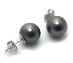 Tahitian Pearl Stud Earrings