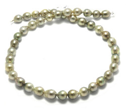 Pistachio Tahitian Pearl Necklace